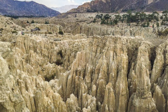 949b7986-29f0-4a7a-8e74-7746fdba352d