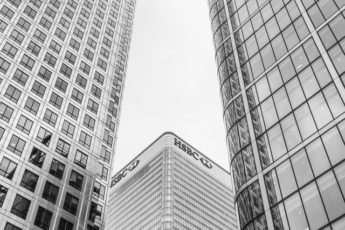 DSC7856