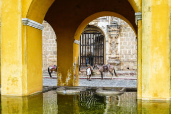 P1040537