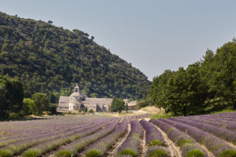Abbaye de Notre Dame de Sénanque
