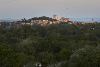 Avignon